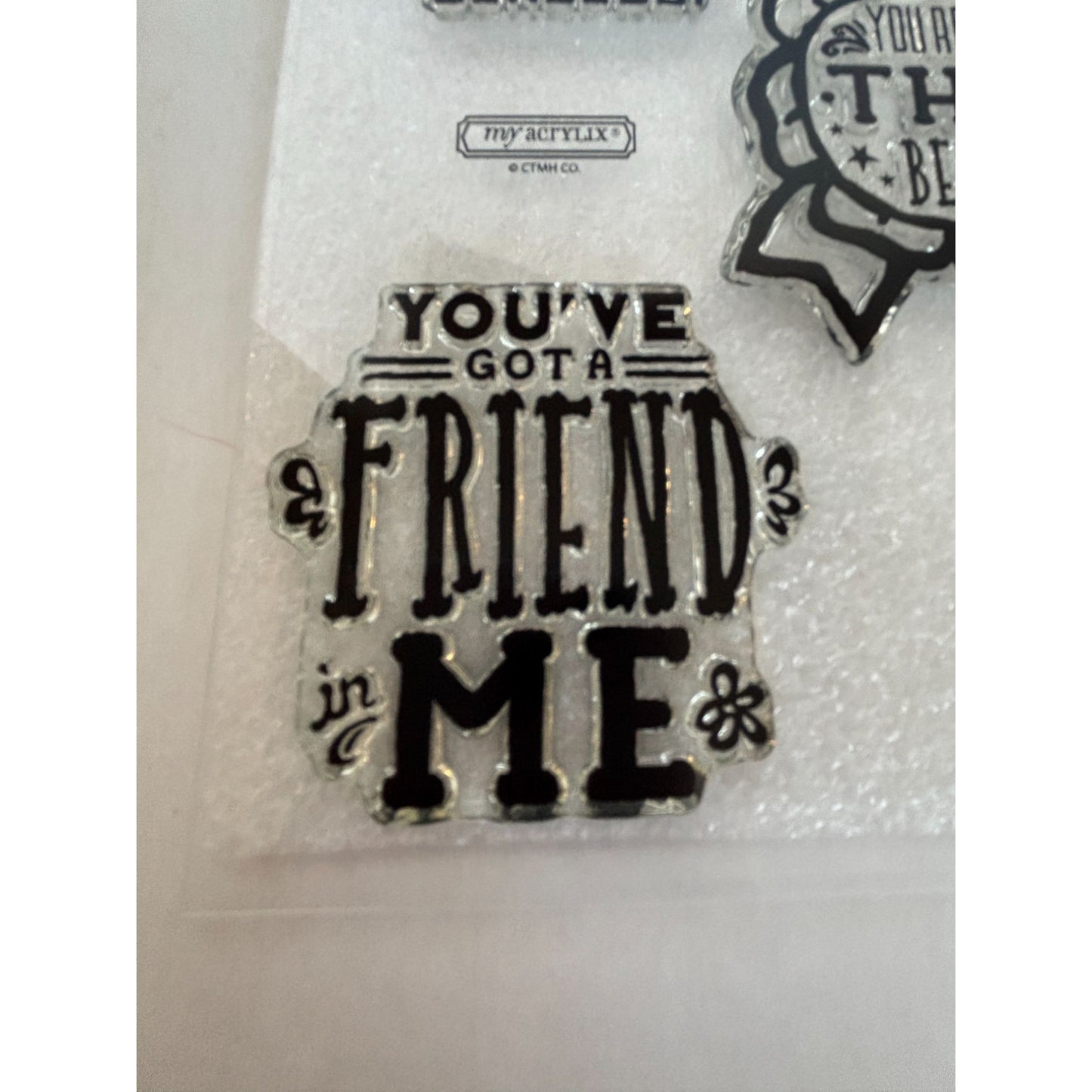 CTMH Acrylic Stamp Set You've Got a Friend in Me Merci Beaucoup Words My Acrylix