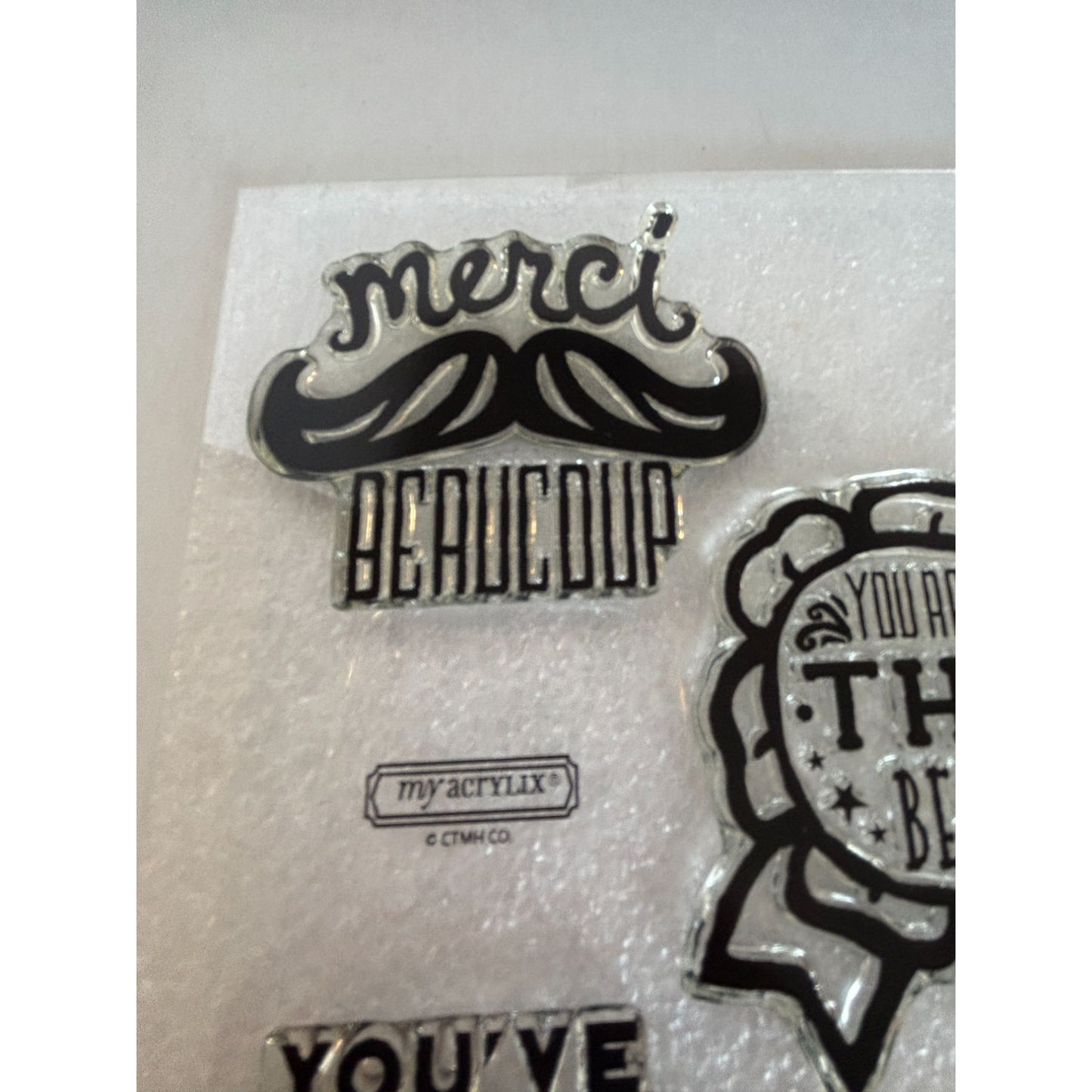 CTMH Acrylic Stamp Set You've Got a Friend in Me Merci Beaucoup Words My Acrylix