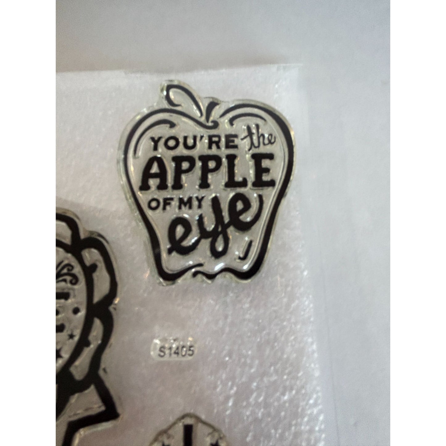 CTMH Acrylic Stamp Set You've Got a Friend in Me Merci Beaucoup Words My Acrylix