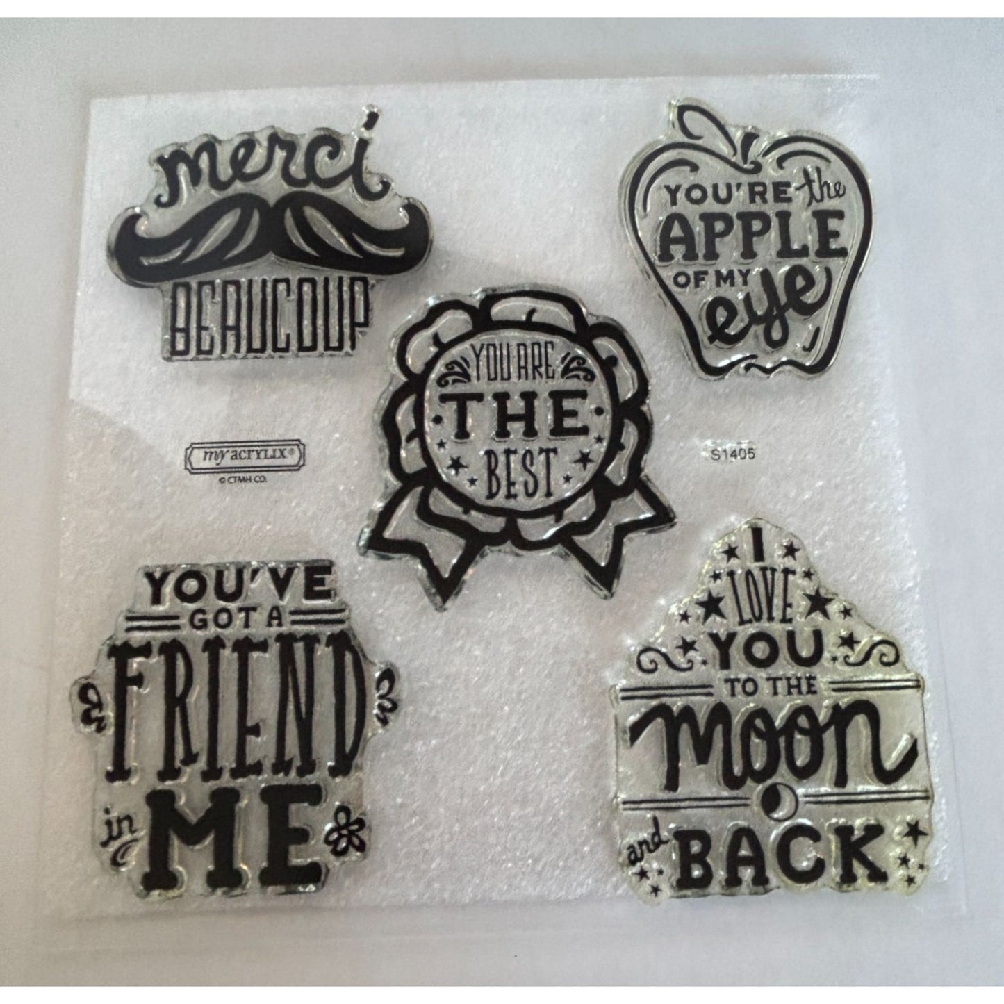 CTMH Acrylic Stamp Set You've Got a Friend in Me Merci Beaucoup Words My Acrylix