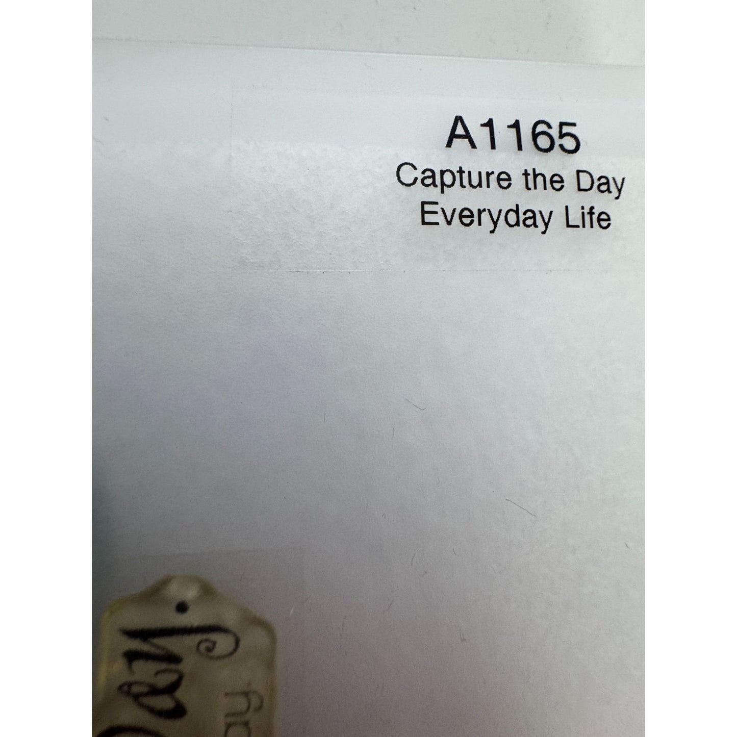 CTMH My Acrylix Acrylic Stamp Set A1165 Capture The Day Everyday Life Butterfly