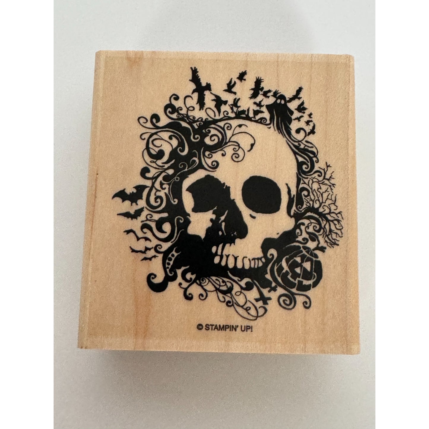 Stampin Up Halloween Rubber Stamps From the Crypt Skull Bat Spider Card Making