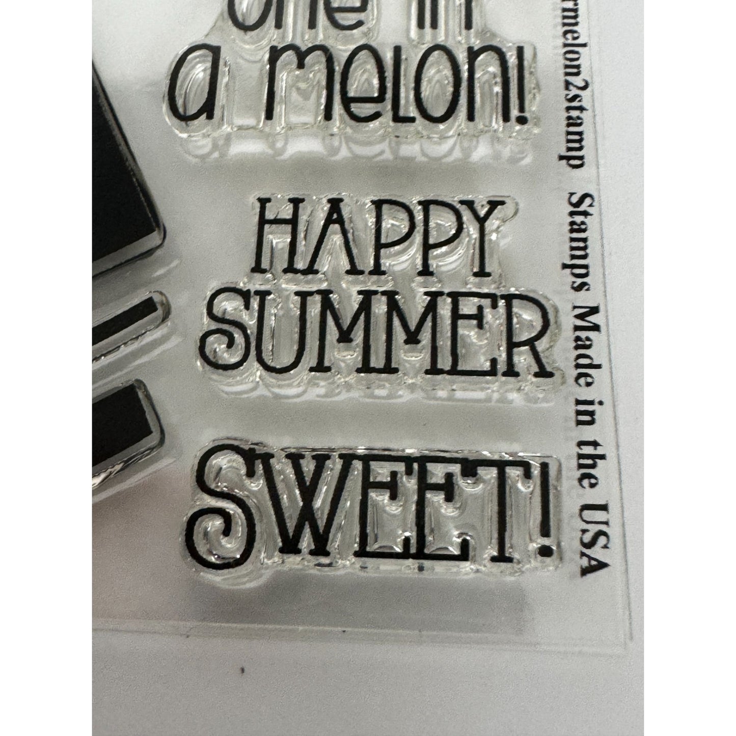 The Stamps Of Life Acrylic Watermelon2stamp and Die Set Watermelon Fruit Summer