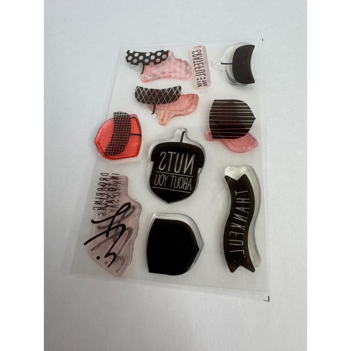 Stampin Up Acrylic Cling Stamp Set Acorny Thank You Acorn Nuts about You Words