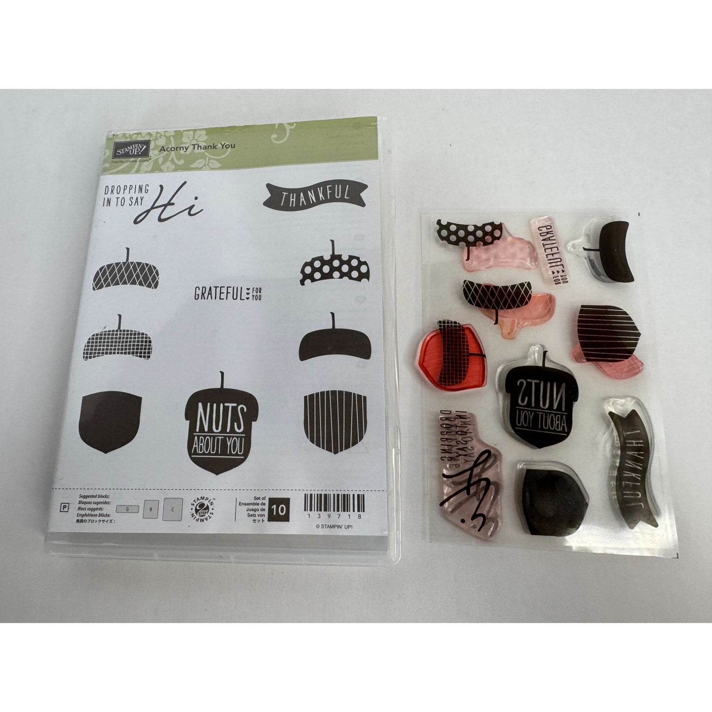 Stampin Up Acrylic Cling Stamp Set Acorny Thank You Acorn Nuts about You Words