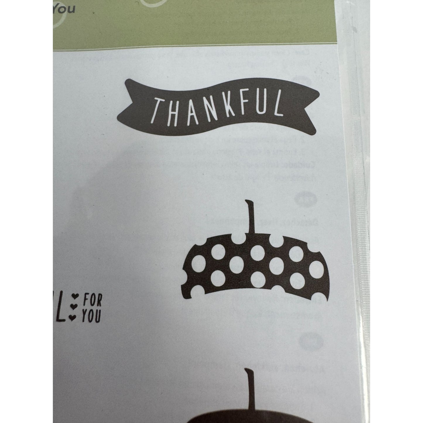 Stampin Up Acrylic Cling Stamp Set Acorny Thank You Acorn Nuts about You Words