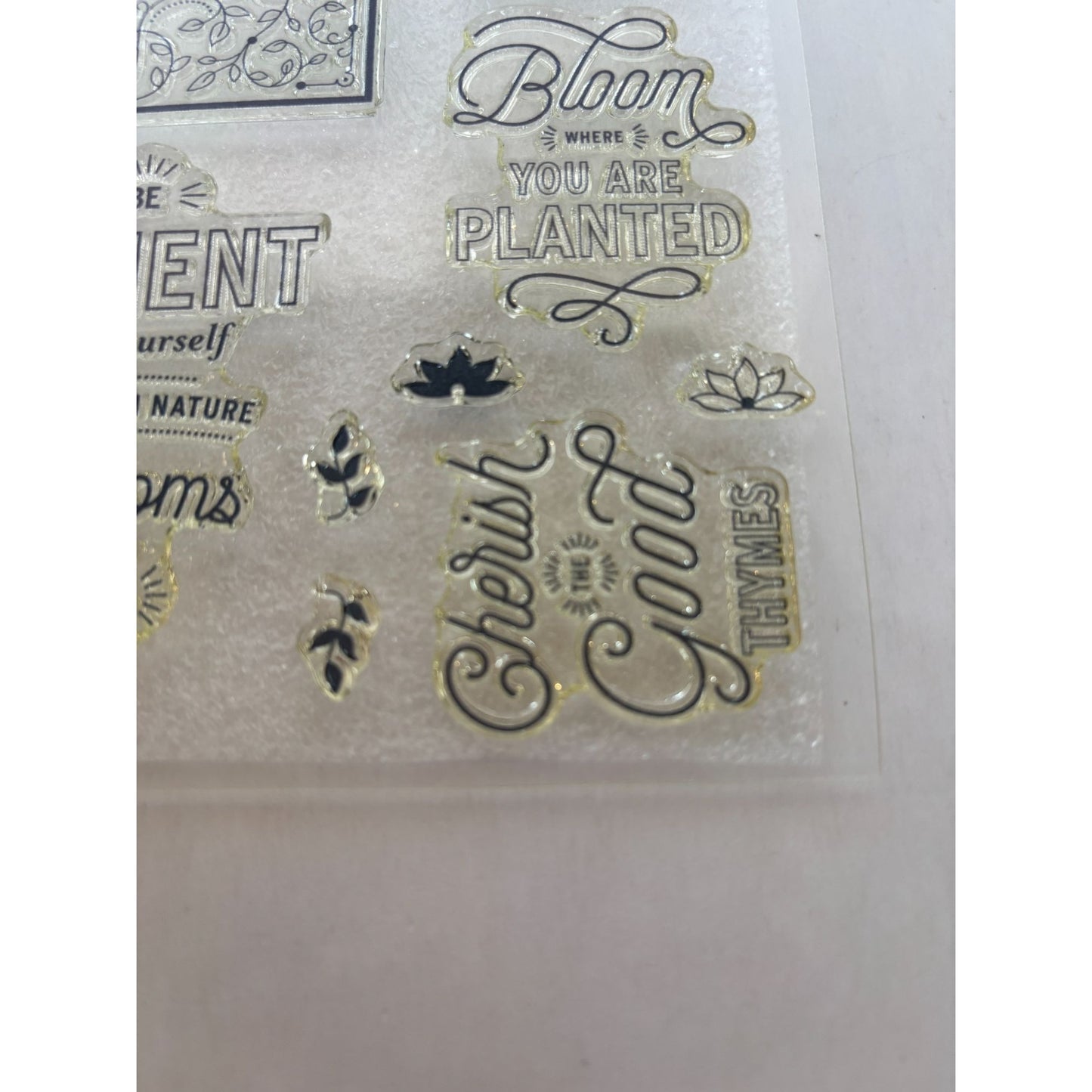 CTMH Acrylic Stamp Set Bloom and Grow Flower Garden Seed Packet My Acrylix S1801