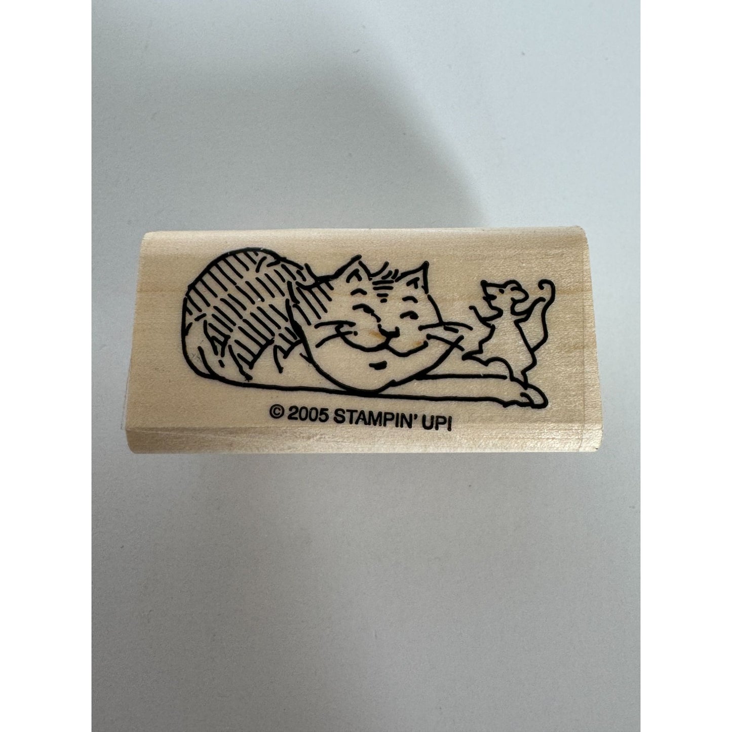 Stampin Up Rubber Stamp Cat and Mouse Friendship Card Making Playful Pets Dance