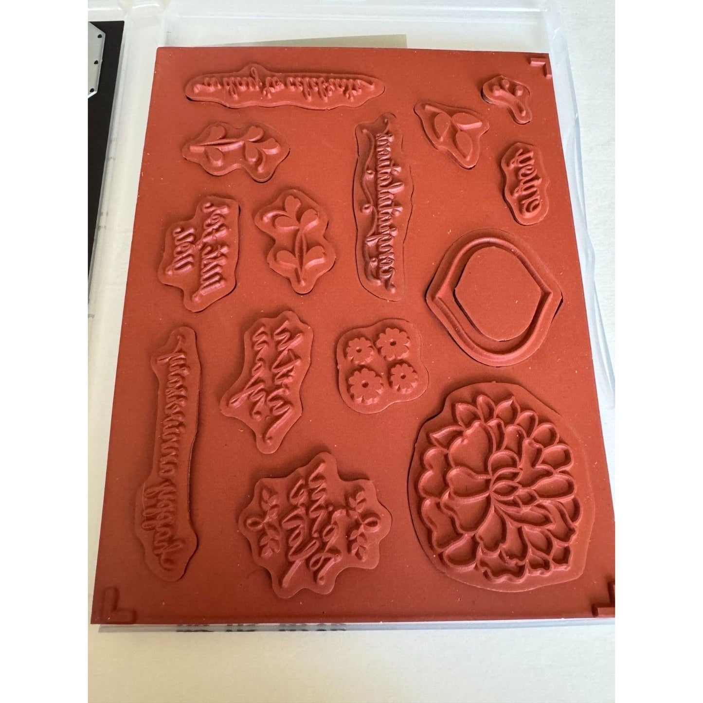 Stampin Up Cling Rubber Stamps So In Love So Detailed Thinlits Dies With