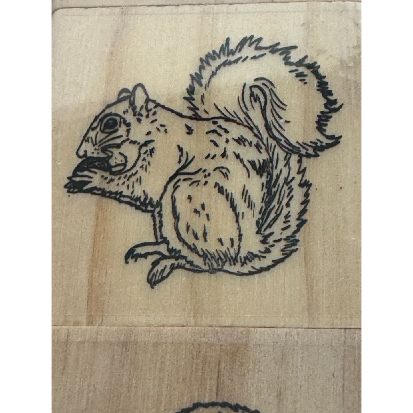 Recollections Wood Stamps Woodland Animals Bear Wolf Squirrel Raccoon Hedgehog