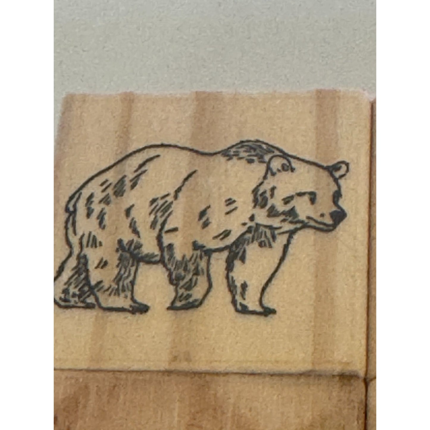 Recollections Wood Stamps Woodland Animals Bear Wolf Squirrel Raccoon Hedgehog