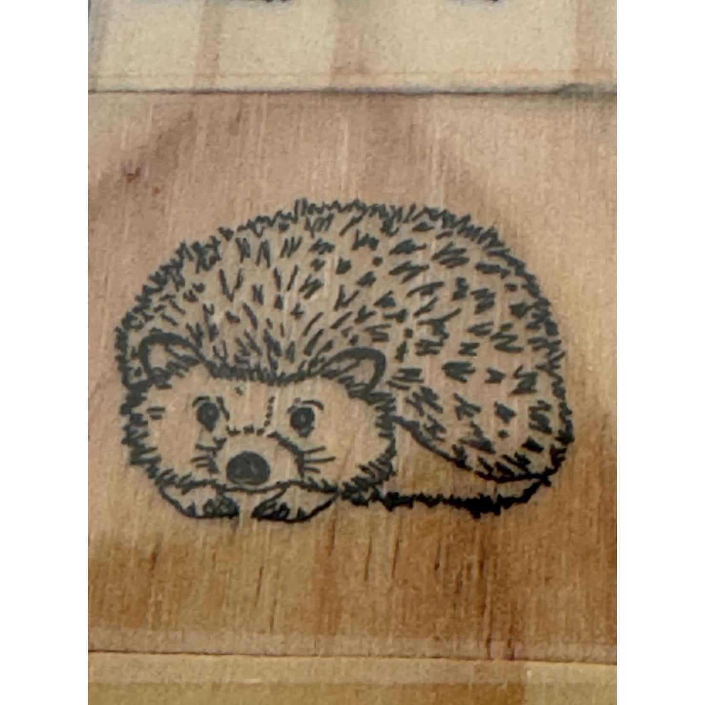 Recollections Wood Stamps Woodland Animals Bear Wolf Squirrel Raccoon Hedgehog
