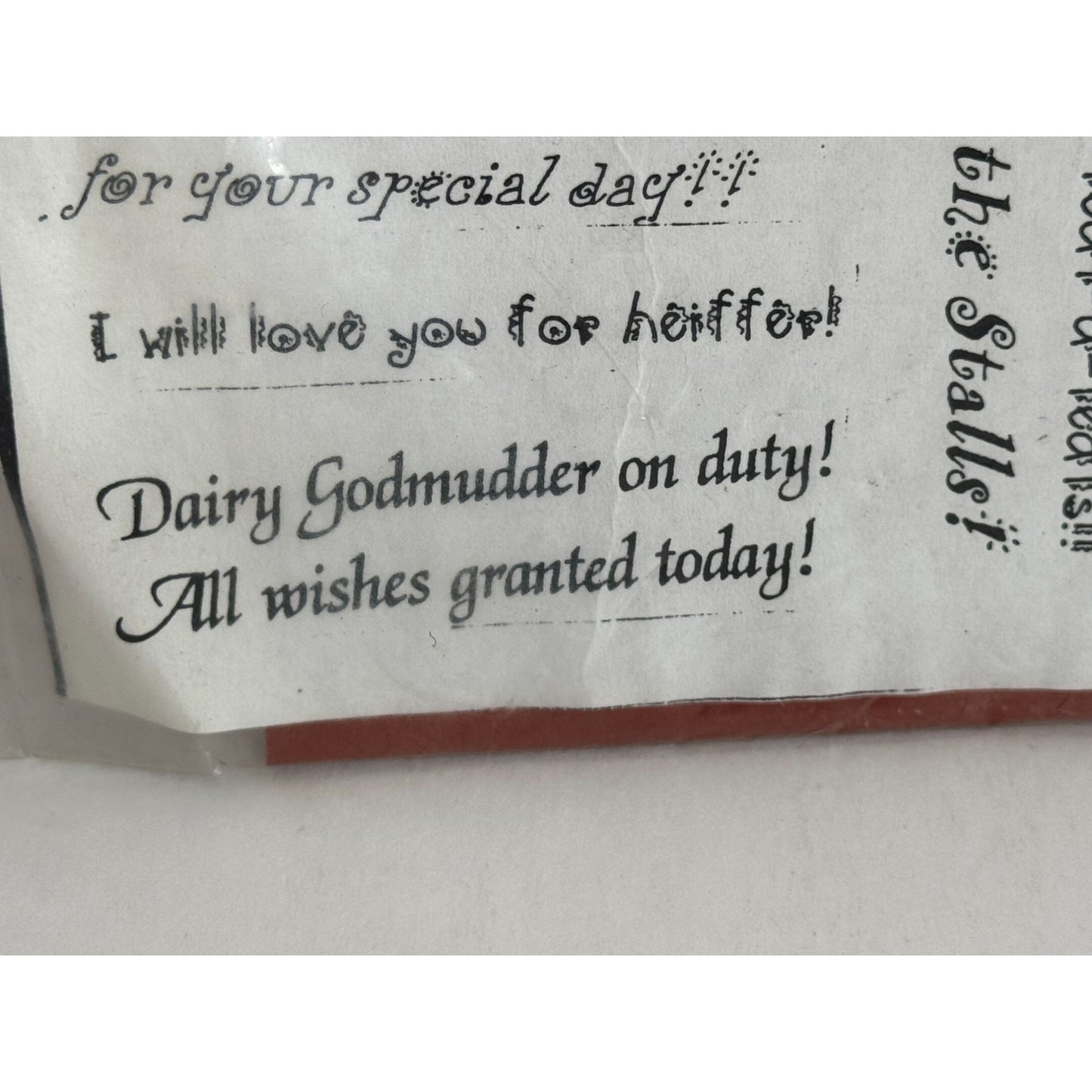 Lindys Stamp Gang Cow Rubber Stamp Set Puns Funny Humor Moory Christmas Bulloons