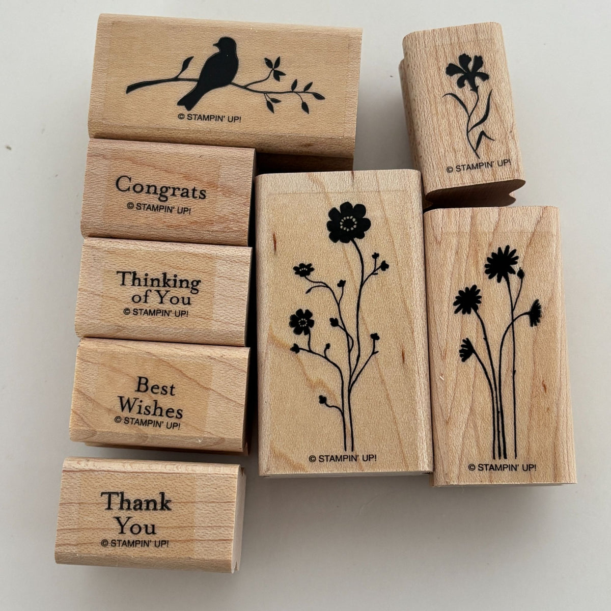 Stampin Up Stamp Set Silhouette Sentiments Wood Floral Bird Cardmaking Thank You Best Wishes