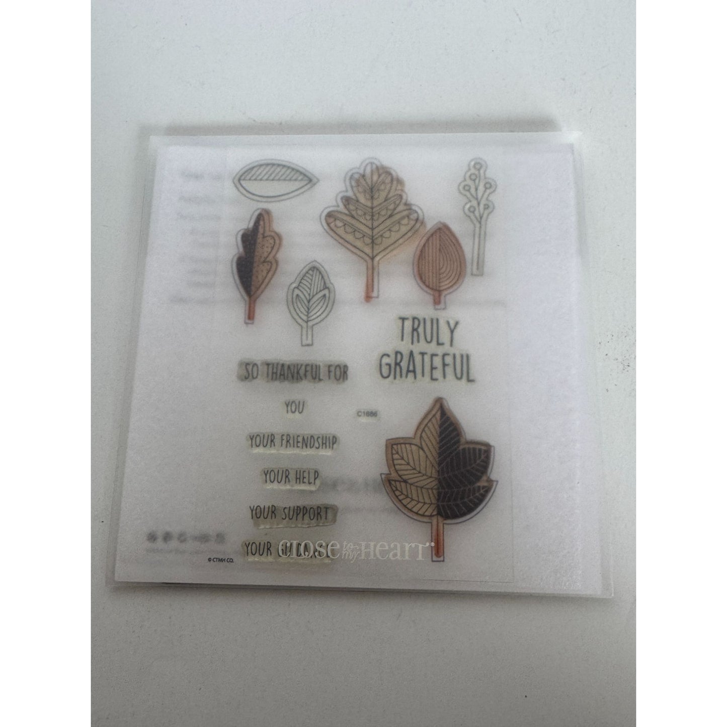 CTMH My Acrylix Acrylic Stamp and Dies Set Falling for You Thanksgiving C1686