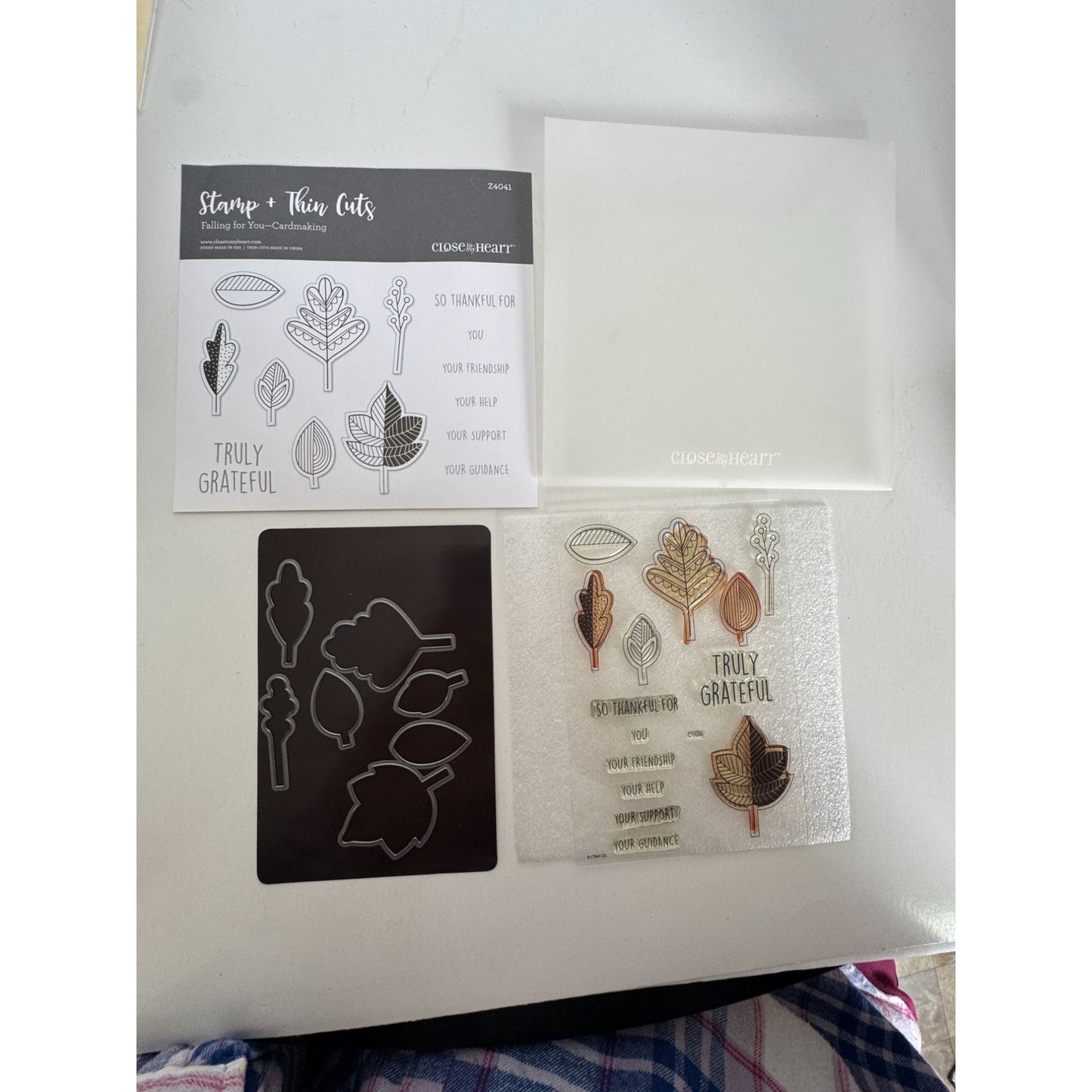 CTMH My Acrylix Acrylic Stamp and Dies Set Falling for You Thanksgiving C1686