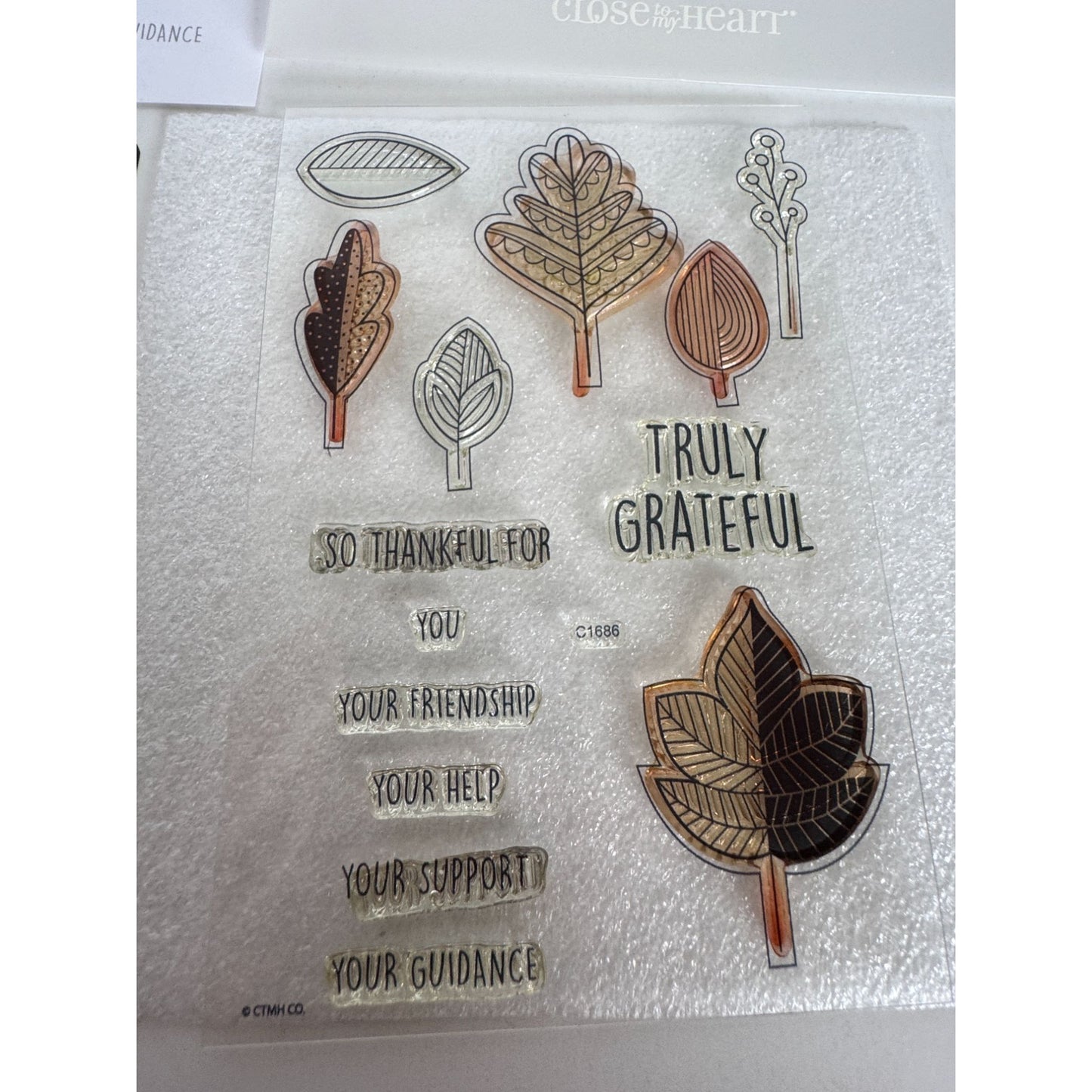 CTMH My Acrylix Acrylic Stamp and Dies Set Falling for You Thanksgiving C1686