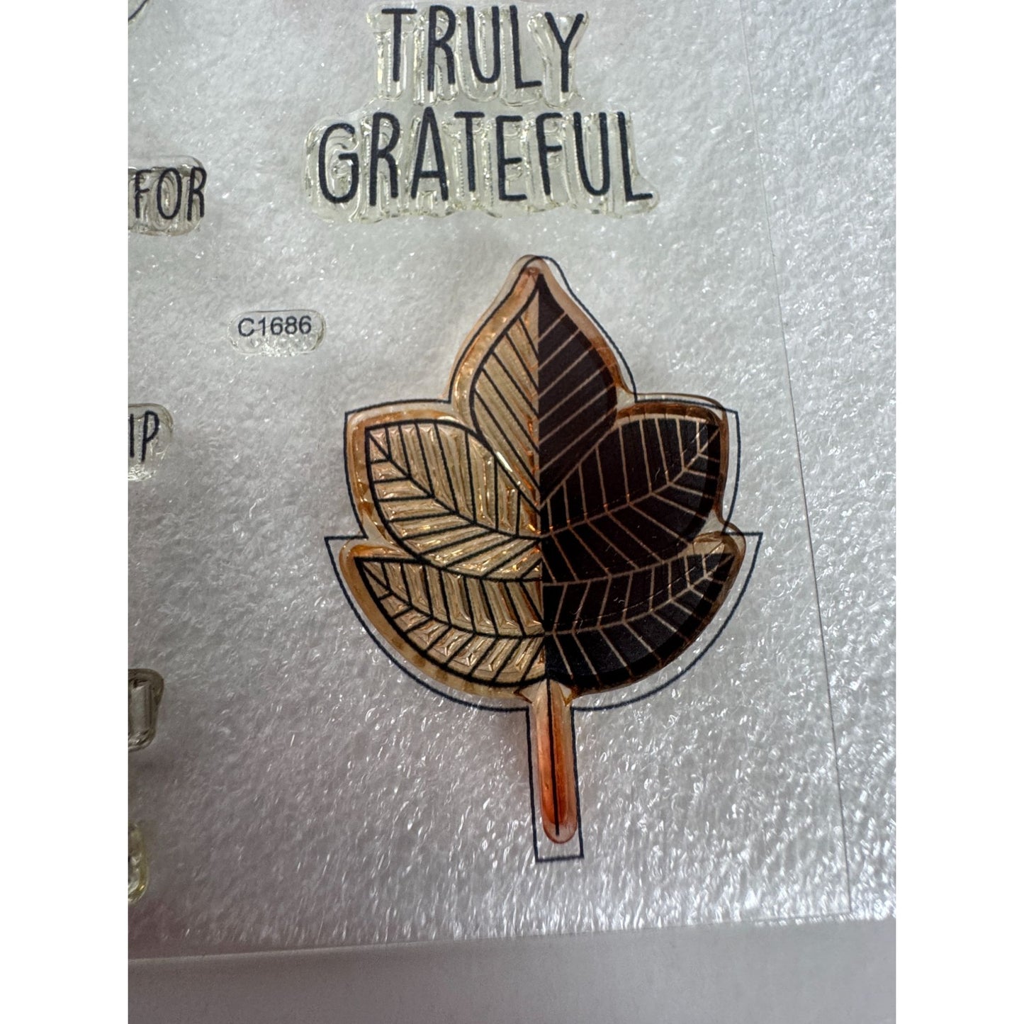 CTMH My Acrylix Acrylic Stamp and Dies Set Falling for You Thanksgiving C1686