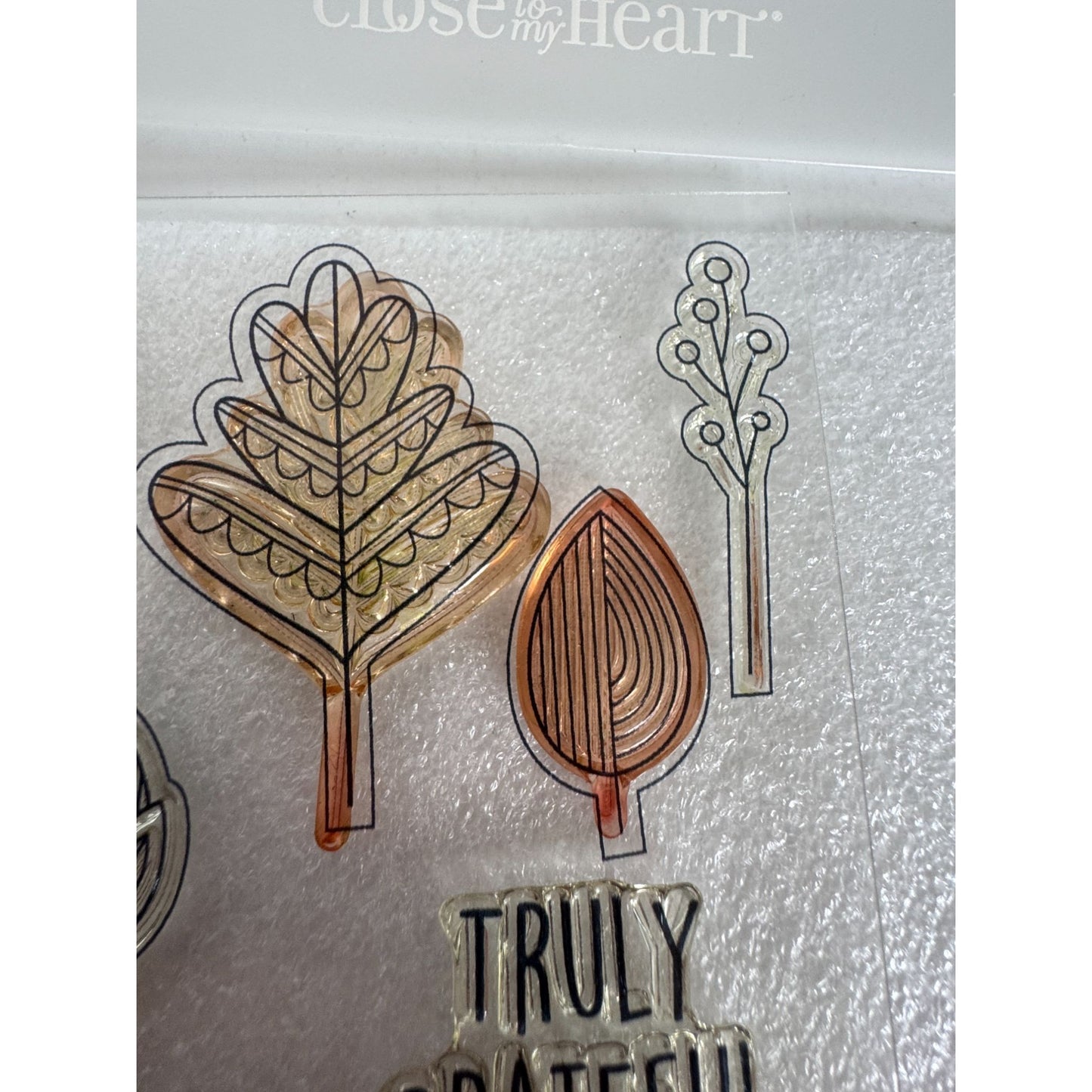 CTMH My Acrylix Acrylic Stamp and Dies Set Falling for You Thanksgiving C1686