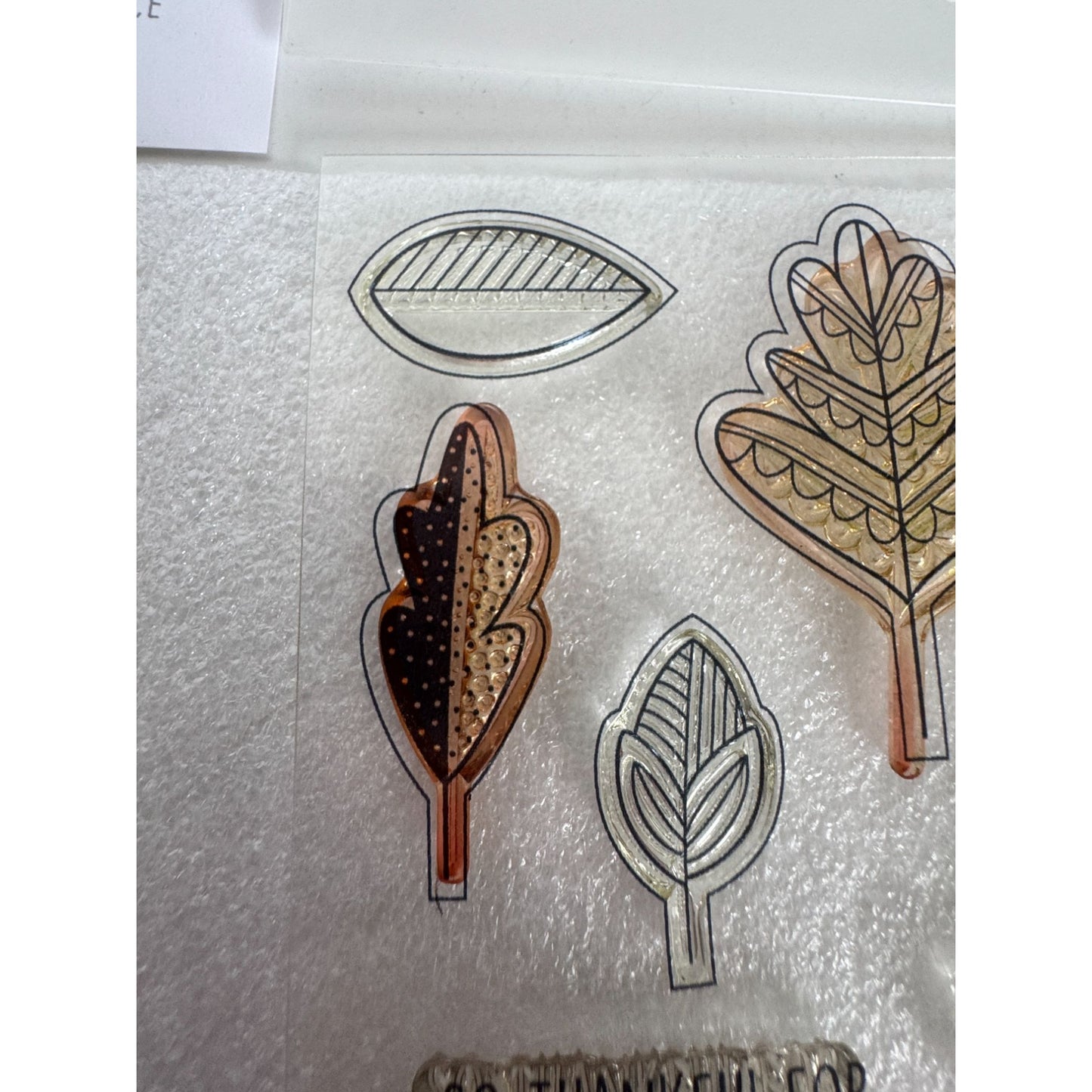 CTMH My Acrylix Acrylic Stamp and Dies Set Falling for You Thanksgiving C1686