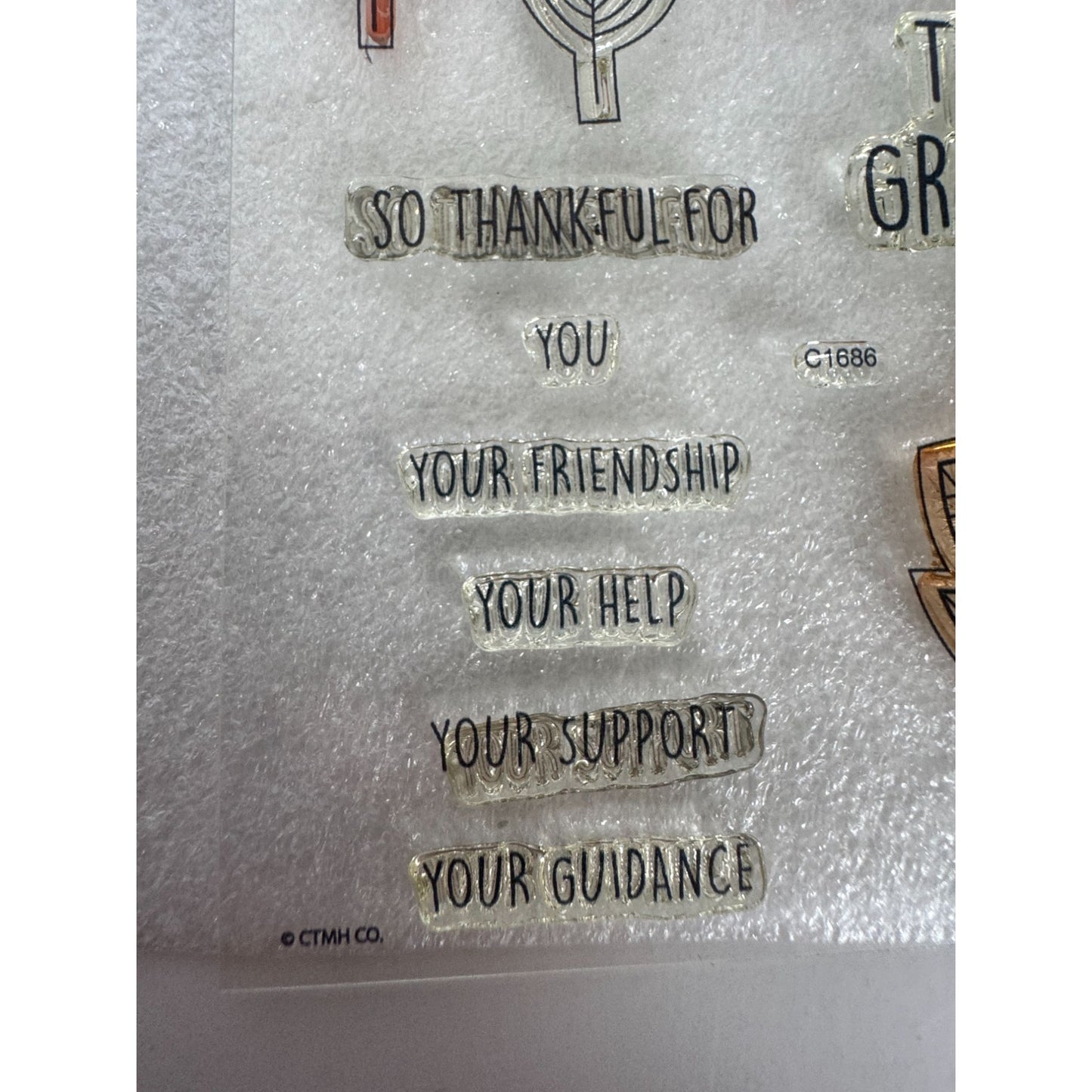 CTMH My Acrylix Acrylic Stamp and Dies Set Falling for You Thanksgiving C1686