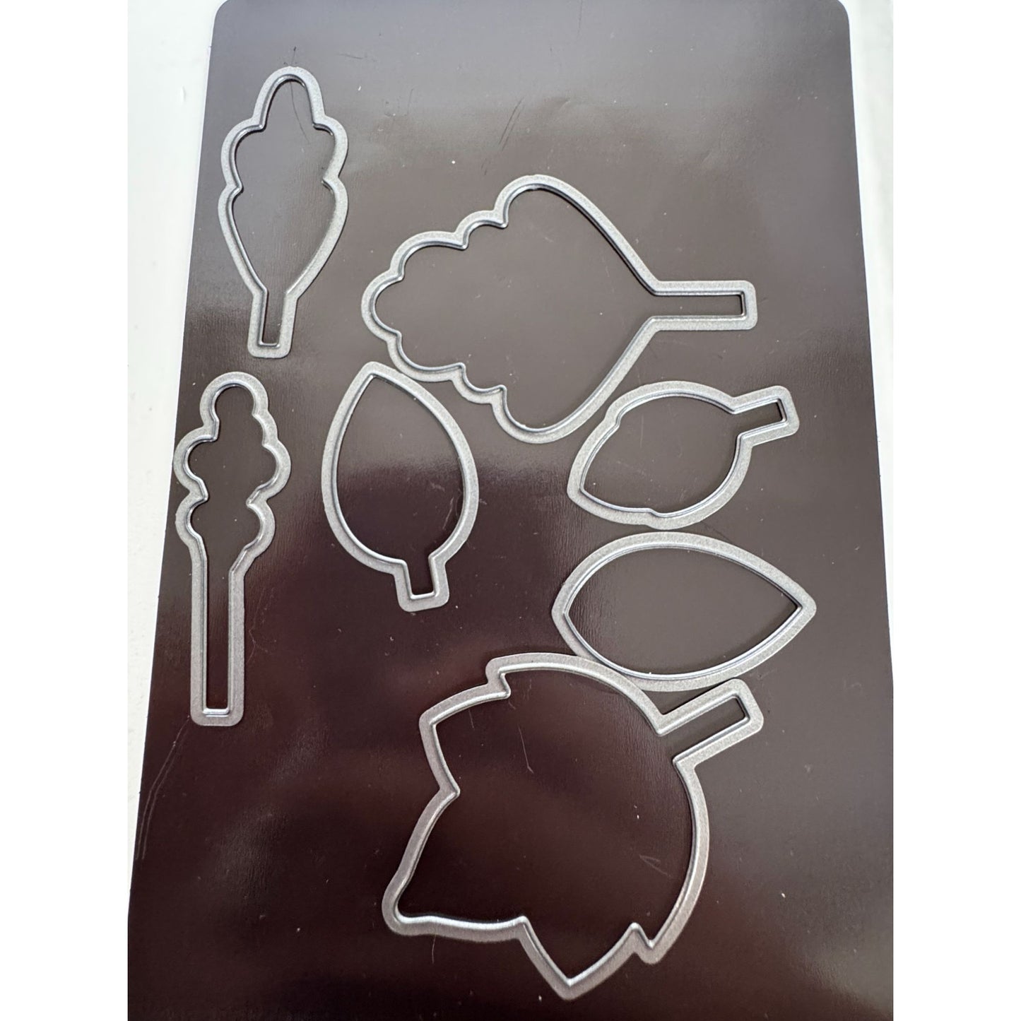 CTMH My Acrylix Acrylic Stamp and Dies Set Falling for You Thanksgiving C1686
