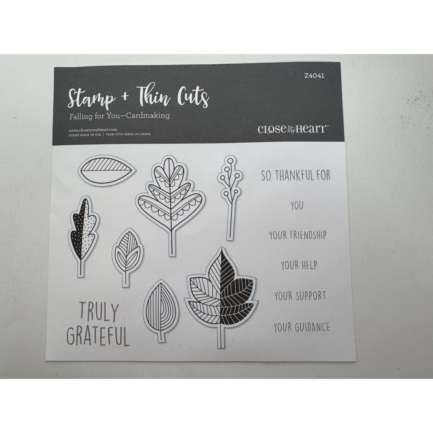 CTMH My Acrylix Acrylic Stamp and Dies Set Falling for You Thanksgiving C1686