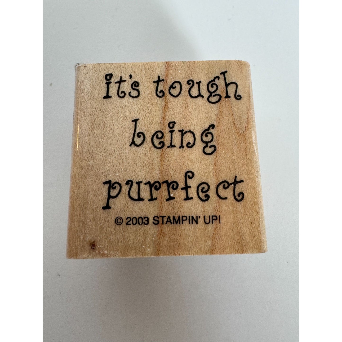 Stampin Up Rubber Stamp Its Tough Being Purrfect Cat Pun Perfect Card Making