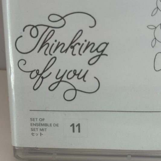Stampin Up Clear Mount Stamp Set Treat Time Thinking of You Get Well Soon Words