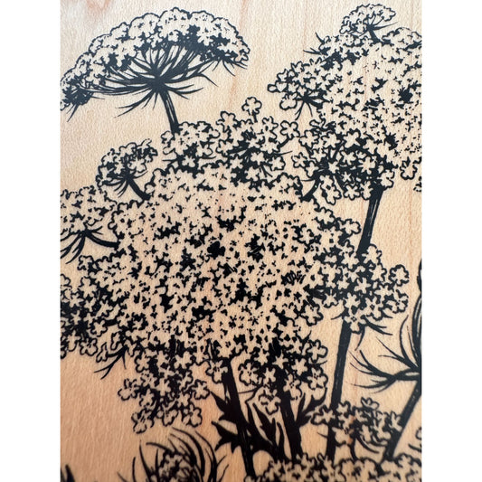 PSX Botanical Flowers Rubber Stamp Queen Annes Lace Garden Nature Craft K-2048