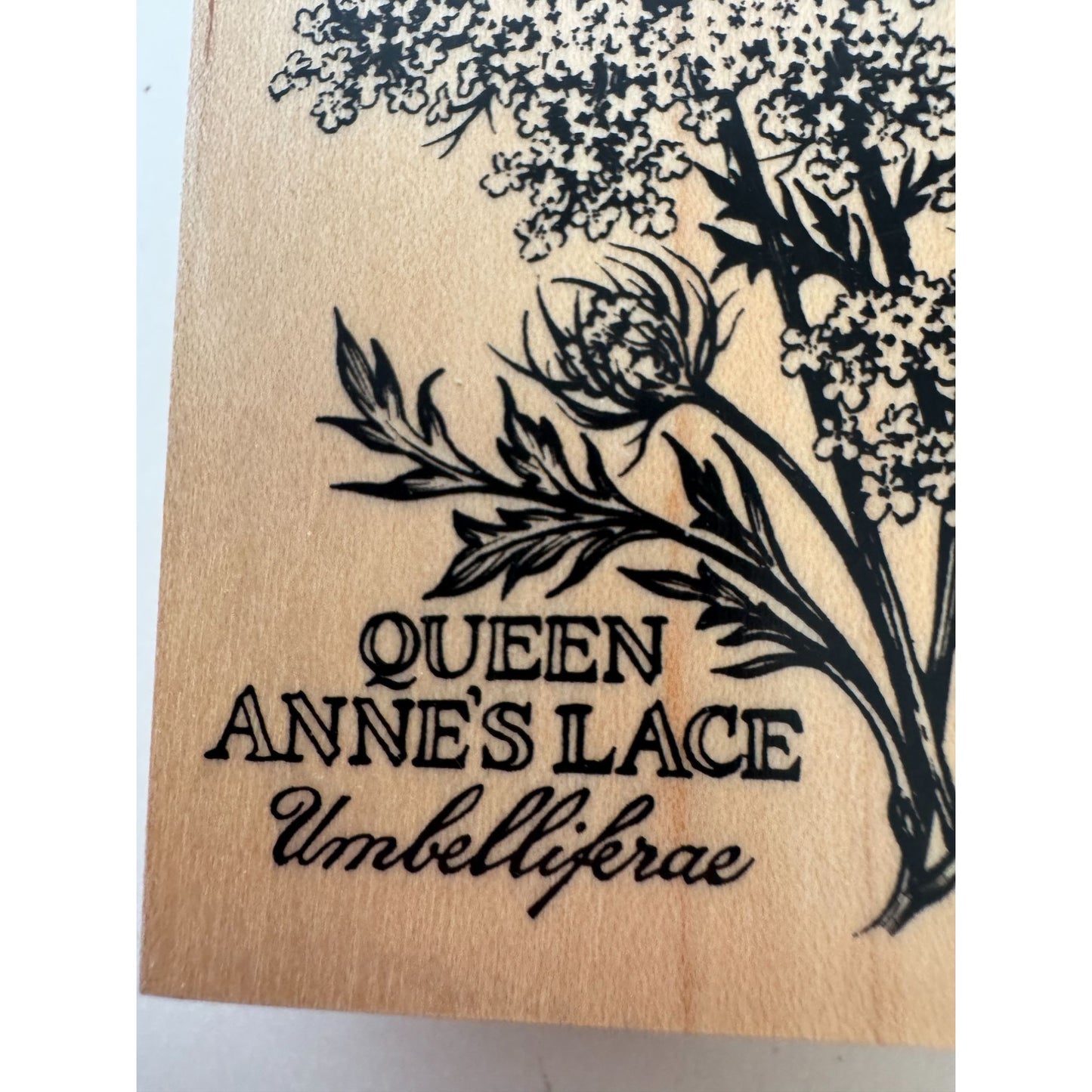 PSX Botanical Flowers Rubber Stamp Queen Annes Lace Garden Nature Craft K-2048