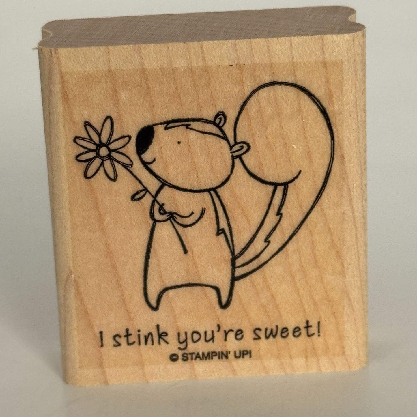 Stampin Up Rubber Stamp Pun Skunk Pun I Stink You are Sweet Card Making Words