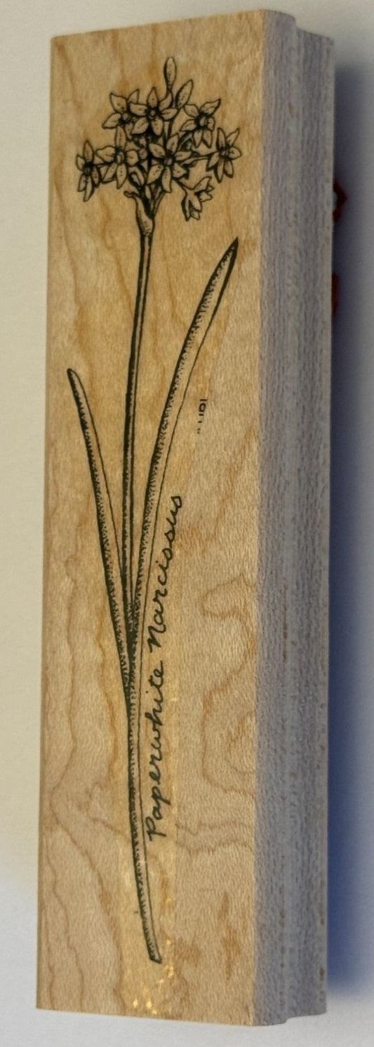 Stampin Up Rubber Stamp Paperwhite Narcissus Flower Cardmaking Botanical Craft