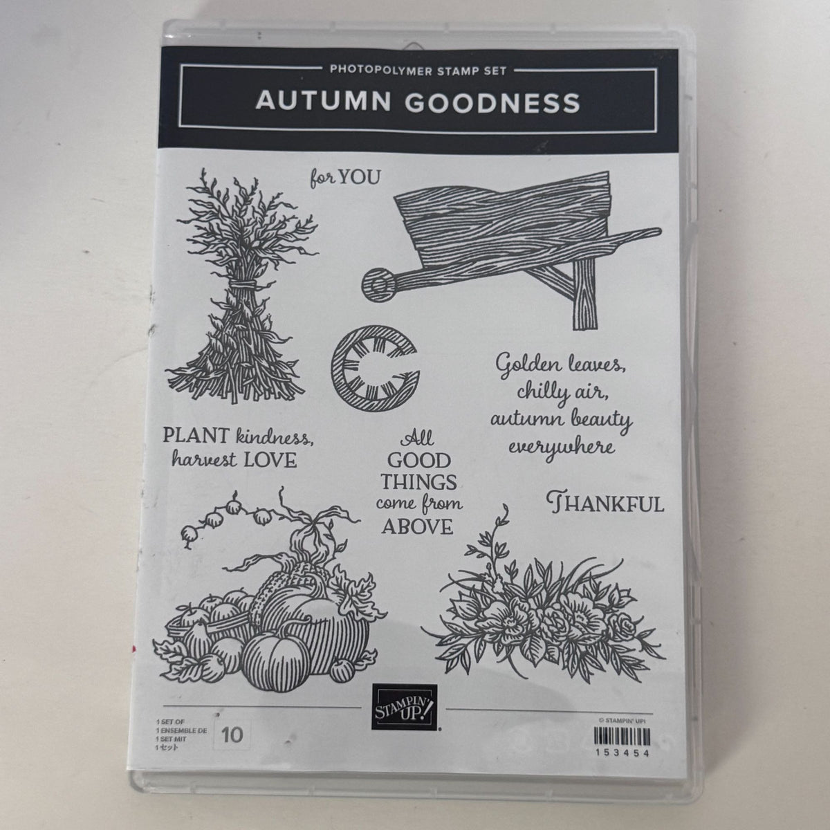 Stampin Up Photopolymer Stamp Set Autumn Goodness with Dies Thanksgiving Harvest Wheelbarrow Cardmaking