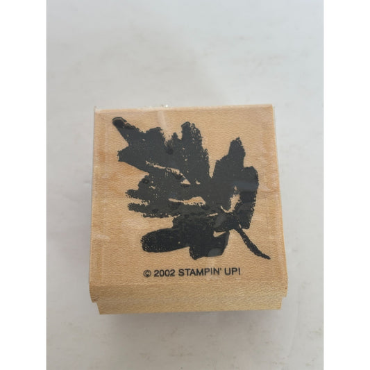 Stampin Up Rubber Stamps Leaf Leaves Two Step Stampin Watercolor Layers Set of 3