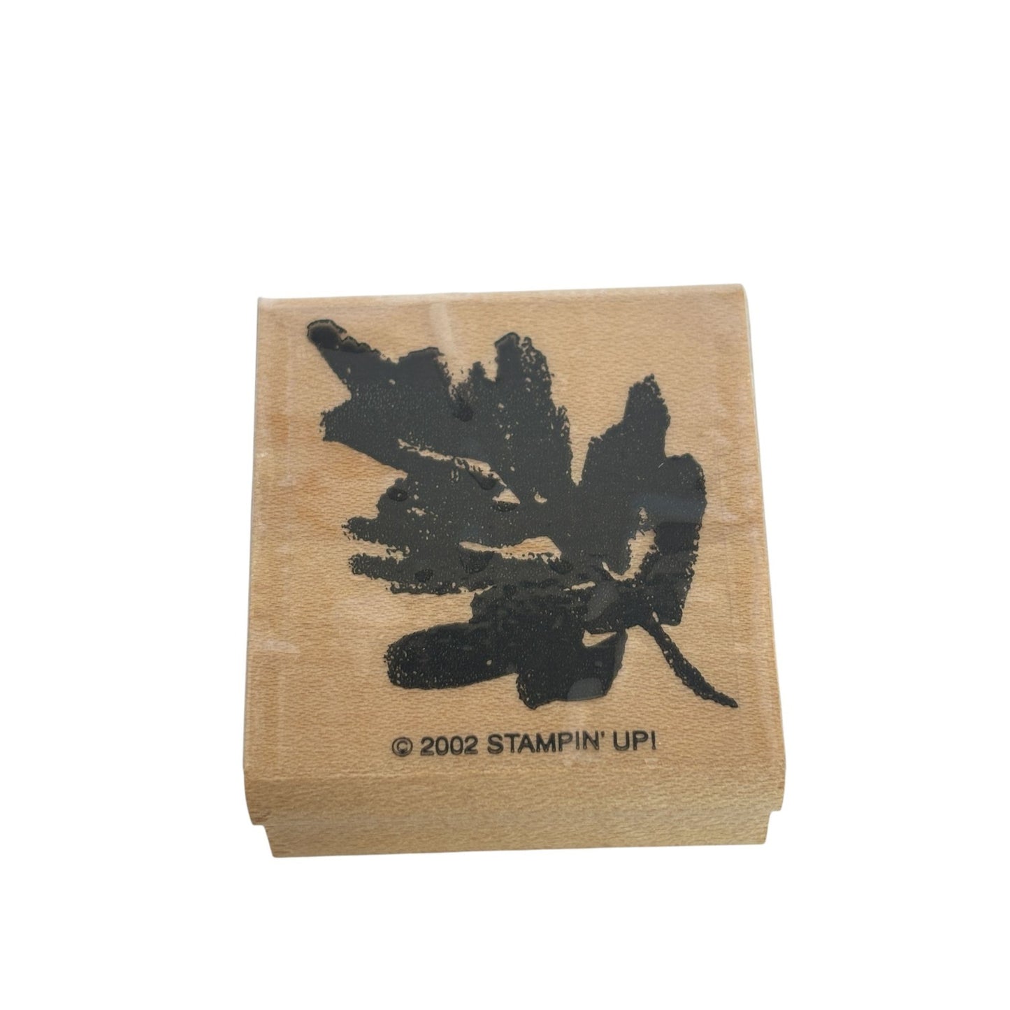 Stampin Up Rubber Stamps Leaf Leaves Two Step Stampin Watercolor Layers Set of 3