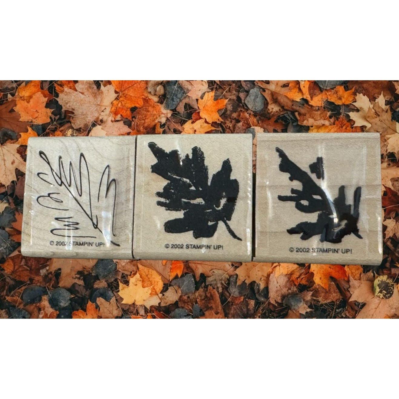Stampin Up Rubber Stamps Leaf Leaves Two Step Stampin Watercolor Layers Set of 3