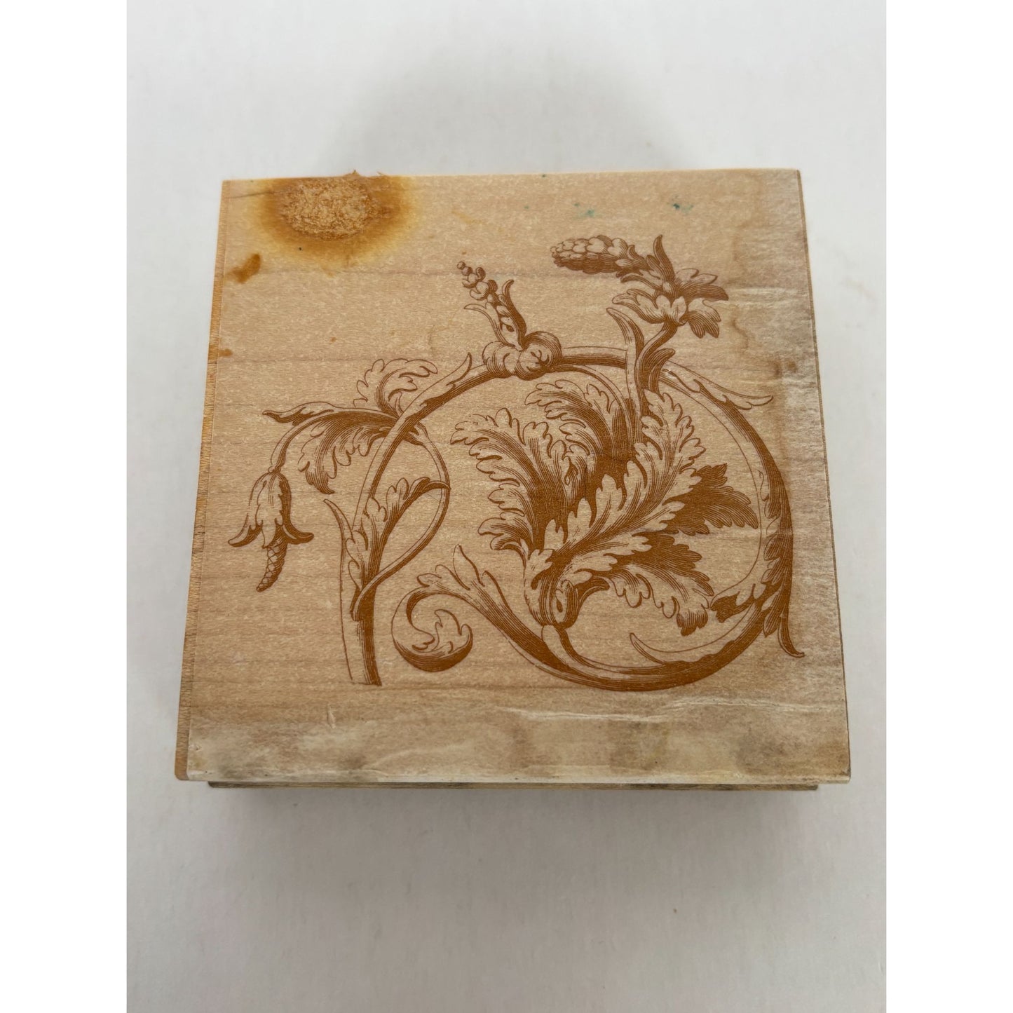 Anna Griffin Rubber Stamp Victorian Vine Flourish Botanical Motif Decorative