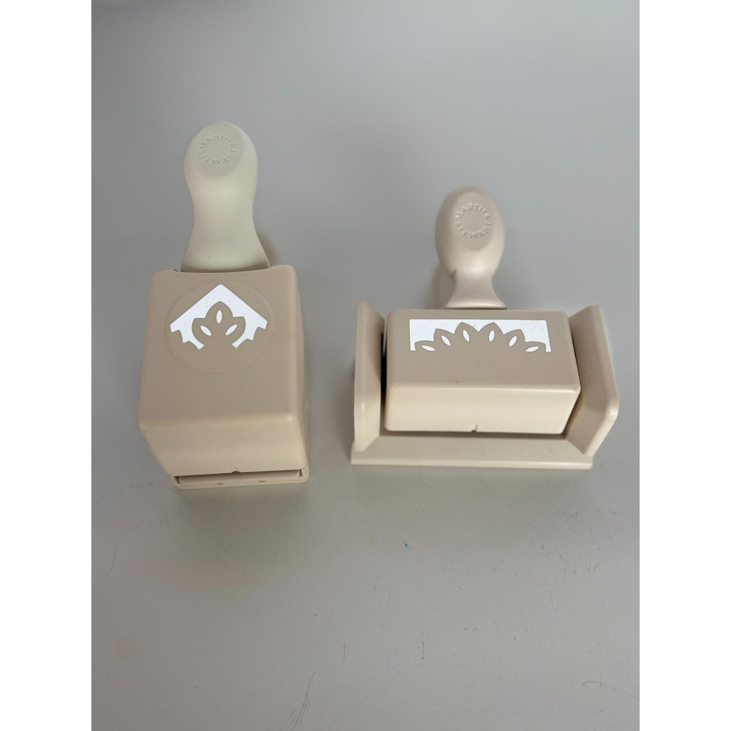 Martha Stewart Paper Punch Around the Page Flower Shower Corner Edge Border