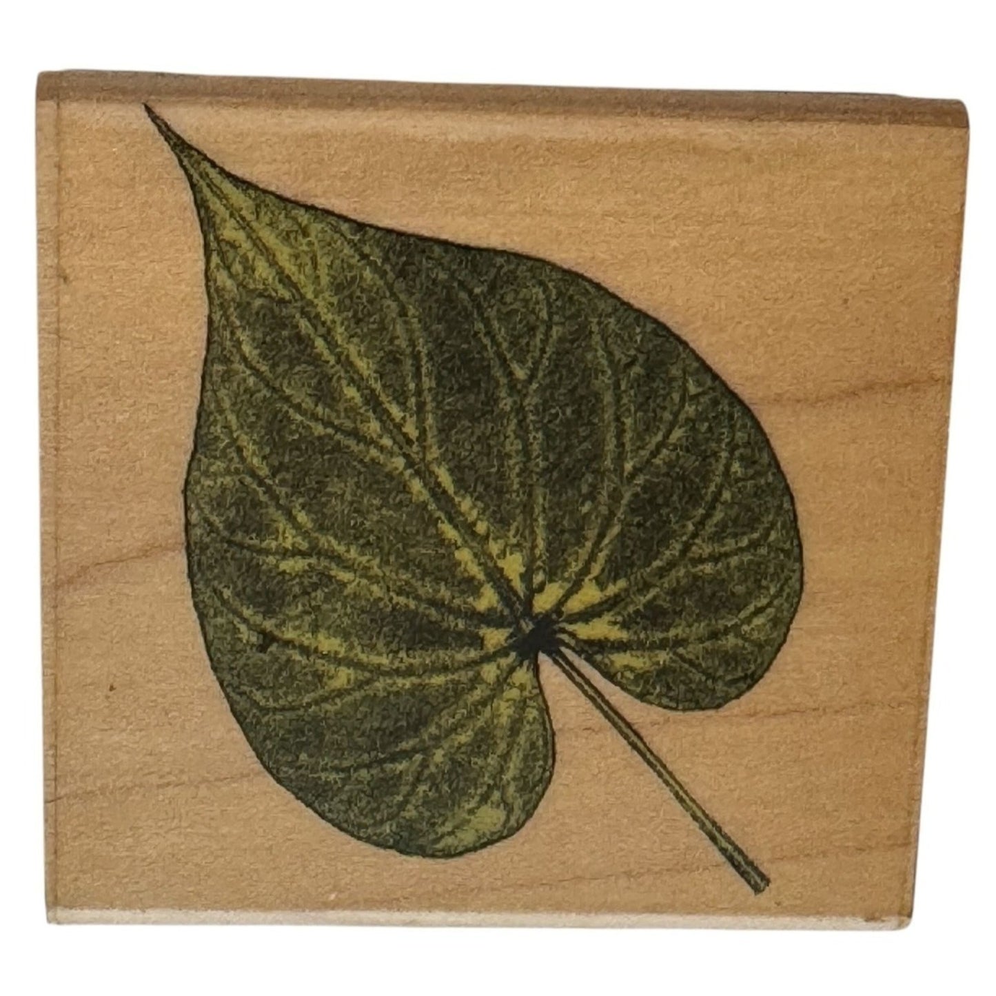Hero Arts Rubber Stamp Small Redbud Leaf Nature Poetic Prints Card Making Craft