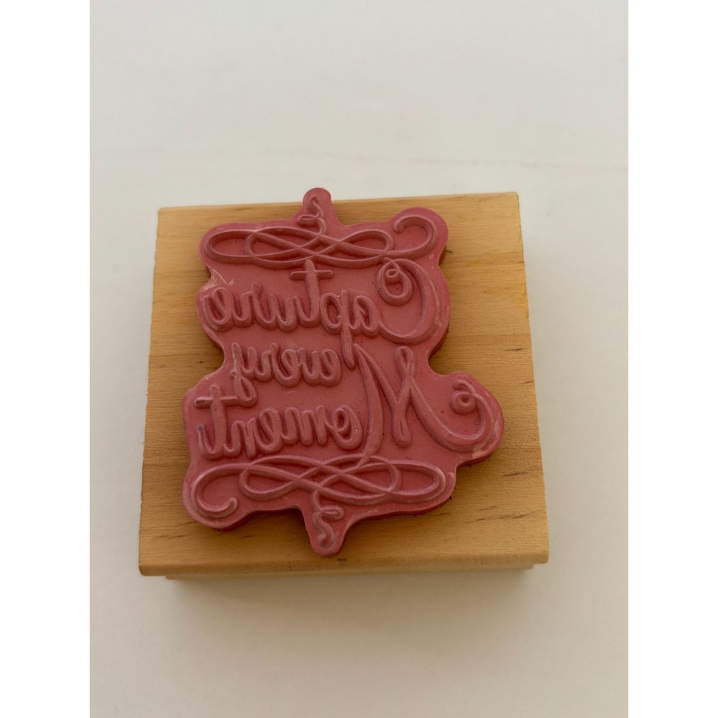 Capture Every Moment Rubber Stamp Cardmaking Sentiment Words Photography Theme