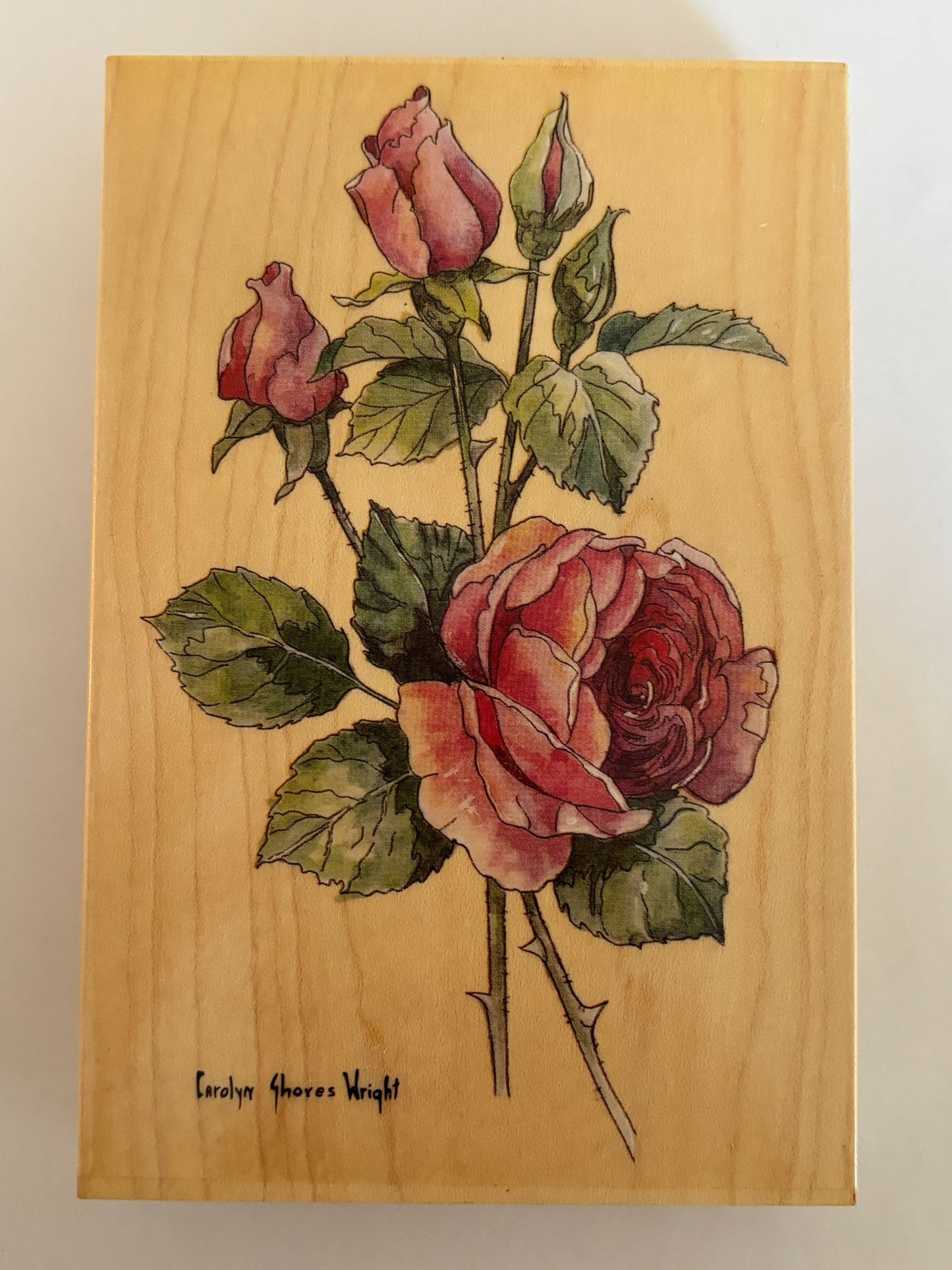 Stamps Happen Rubber Stamp English Rose Long Stem Carolyn Shores Wright Big Wood