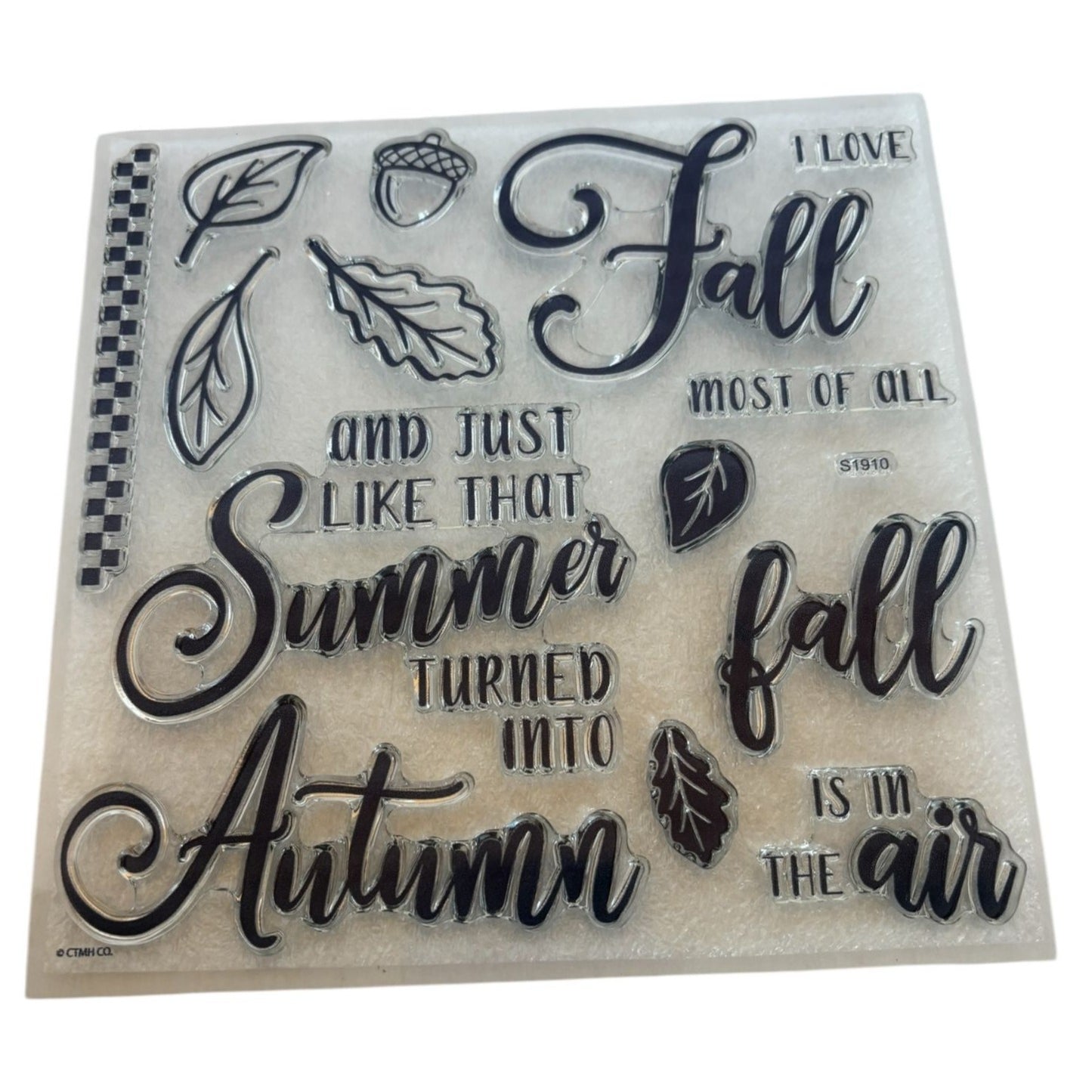 CTMH Acrylic Stamp Set Autumn is in the Air Summer turned into Fall Acorn Leaf