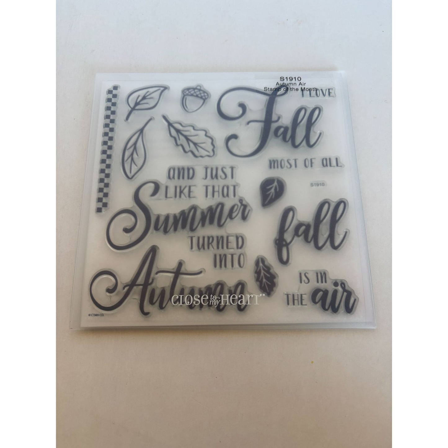 CTMH Acrylic Stamp Set Autumn is in the Air Summer turned into Fall Acorn Leaf