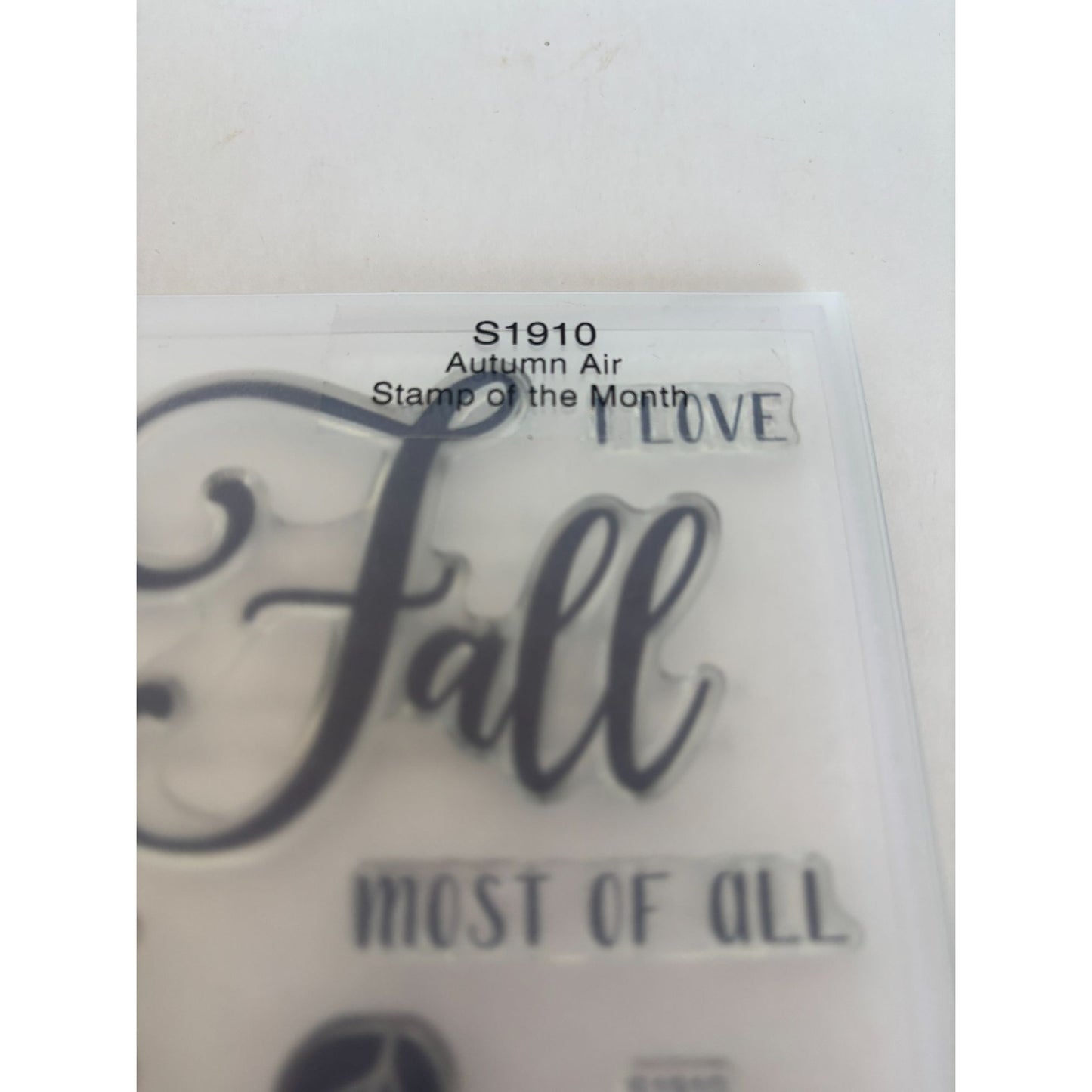 CTMH Acrylic Stamp Set Autumn is in the Air Summer turned into Fall Acorn Leaf