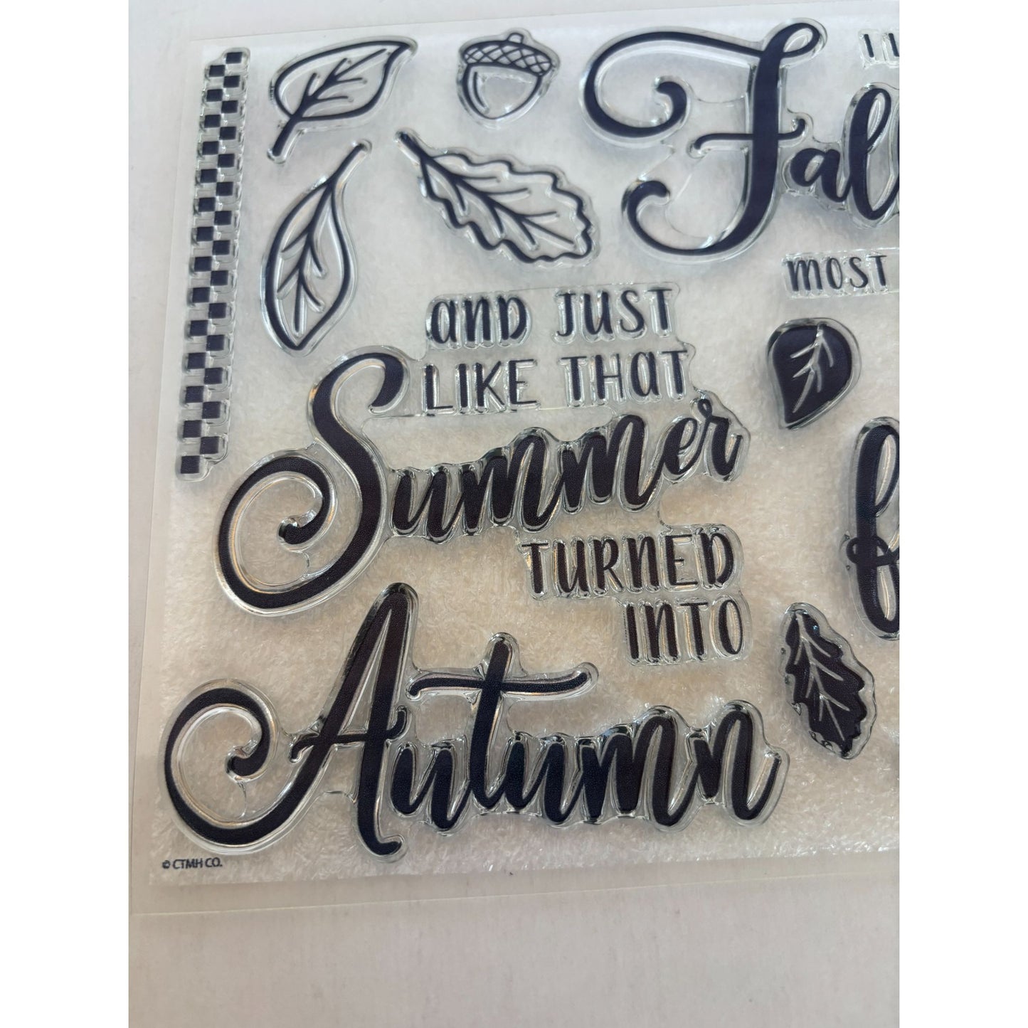 CTMH Acrylic Stamp Set Autumn is in the Air Summer turned into Fall Acorn Leaf
