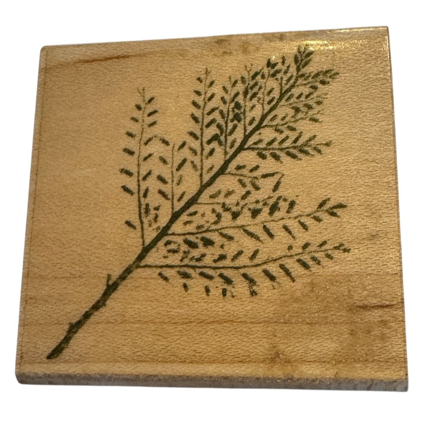 Hero Arts Rubber Stamp Small Snow Bush Fern Leaves Leaf Branch Poetic Prints