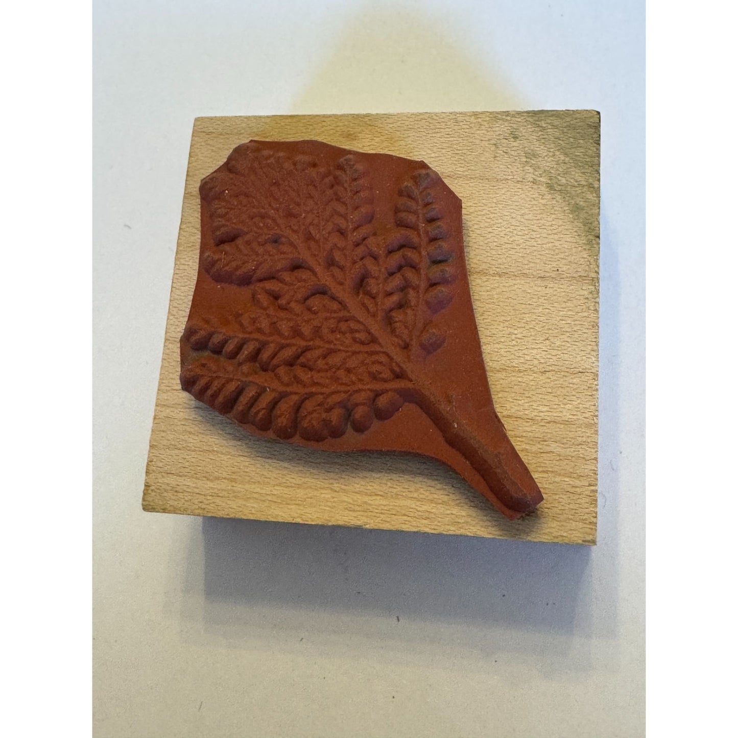 Hero Arts Rubber Stamp Small Snow Bush Fern Leaves Leaf Branch Poetic Prints