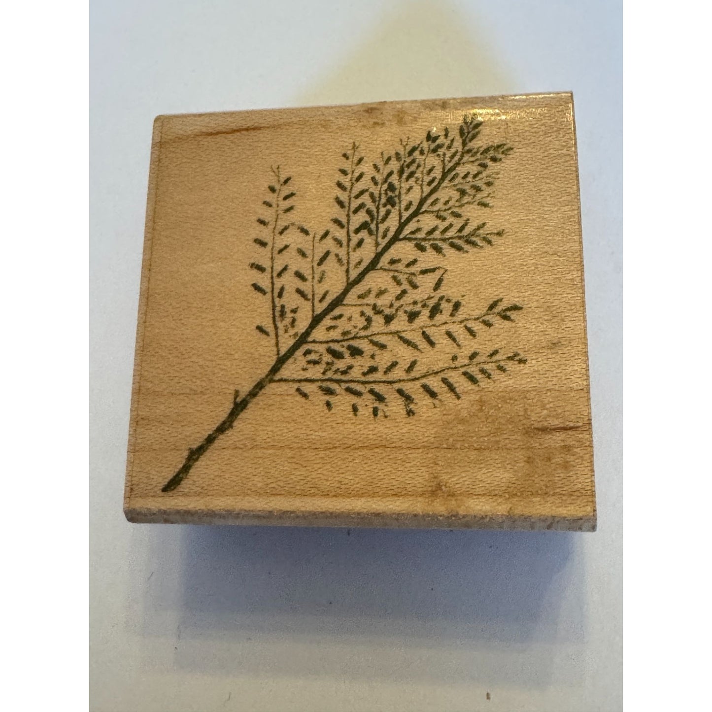 Hero Arts Rubber Stamp Small Snow Bush Fern Leaves Leaf Branch Poetic Prints