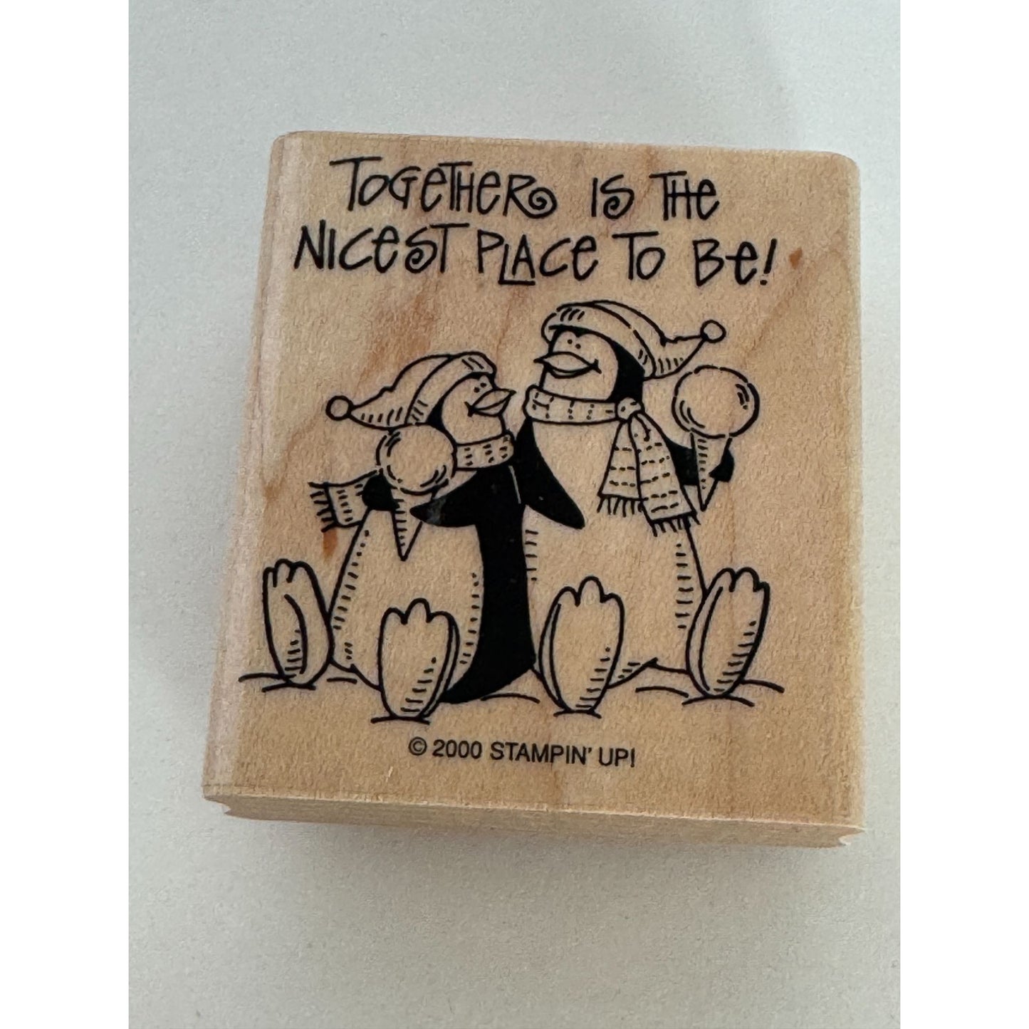 Stampin Up Rubber Stamp Together Is The Nicest Place To Be Penguins Ice Cream